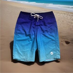 Hollister Gradient Blue Ombre Men's Board Shorts